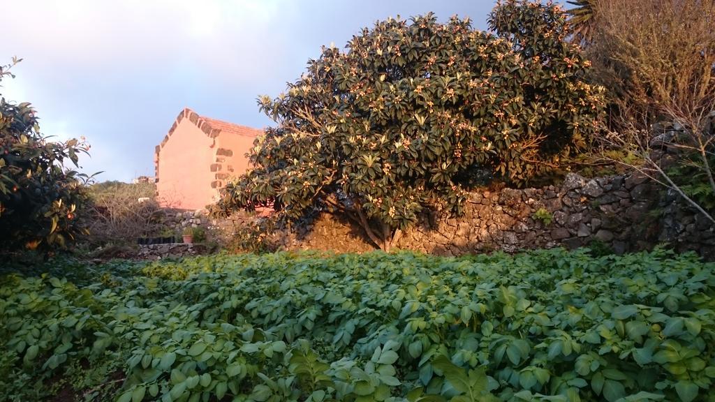 Gran Drago Villa Valverde  Buitenkant foto